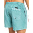 QUIKSILVER Everyday Surfwash Volley 15 Swimming Shorts