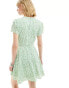 Glamorous v neck tie waist short sleeve mini tea dress in green daisy