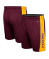 Men's Maroon Minnesota Golden Gophers Panel Shorts