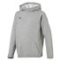 Puma Liga Casuals Hoody JR