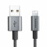 ADATA AMFIAL-1MK-CTI - 1 m - Lightning - USB A - Male - Male - Titanium