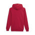 Puma Framed Up Pullover Hoodie Mens Red Casual Outerwear 67807311