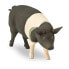 SAFARI LTD Hampshire Pig Figure