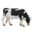 COLLECTA Toro Friesian (White And Black) Figure