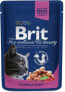 Brit Premium Cat Pouches with Salmon & Trout 100g