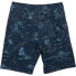 SALTY CREW Lowtide swimming shorts