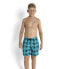 SPEEDO Boombastic Printed Leisure 15´´ Swimming Shorts