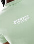 Dickies petersburg western baby tee in green - exclusive to asos