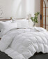 Year Round Feather and Down Comforter, Twin