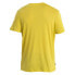 ICEBREAKER Merino Core Waschbar Wandering short sleeve T-shirt