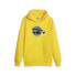 Puma Pl Graphic Pullover Hoodie Mens Size XS Casual Outerwear 62102506