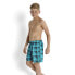 SPEEDO Boombastic Printed Leisure 15´´ Swimming Shorts