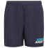 ADIDAS Linear swimming shorts