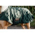 KENTUCKY Original Dog Coat