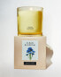 (400 g) clean blossom scented candle