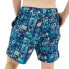 HYDROPONIC 17´ Na Frame Swimming Shorts