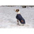 DIEGO & LOUNA 600 D Dog Jacket