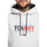 Tommy Hilfiger Tjm Essential