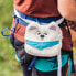 YY VERTICAL Samoyed Dog Chalk Bag