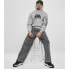 SOUTHPOLE Halfmoon hoodie