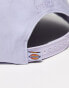 Dickies hardwick baseball cap in lilac