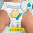 Baby Pants Premium Protection Gr. 7 Extra Large (17+ kg), Monatsbox, 123 St