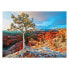 Puzzle Wintersonnenaufgang 1000 Teile