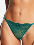 Dorina Icon nylon blend string lace thong in emerald green