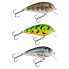 SALMO Butcher crankbait 5g 50 mm