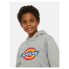 DICKIES Youth Logo hoodie