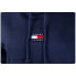 Tommy Hilfiger DW0DW10403C87