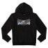 DC Shoes Astro Ph hoodie