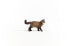 Schleich Farm World Ragdoll Katze| 13940