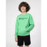 Sweatshirt 4F Jr. 4FJSS23TSWSM222-45S