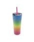 24 oz Ombre Insulated Straw Tumblers Set, 2 Piece