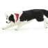 SAFARI LTD Border Collie Figure