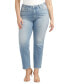 Plus Size Isbister High-Rise Straight-Leg Jeans