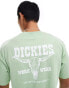 Dickies western short sleeve back print t-shirt in light green- exclusive to asos