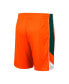 Big Boys Orange Miami Hurricanes Pool Side Shorts