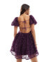 Love Triangle mini prom skater dress with tie back in 3D floral in plum