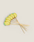 Pack of wooden skewers with fruits (pack of 24)