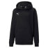 PUMA Teamgoal 23 Casuals hoodie