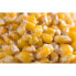 MIVARDI Corn 1kg Corn