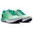 UNDER ARMOUR Flow Velociti Wind 2 running shoes